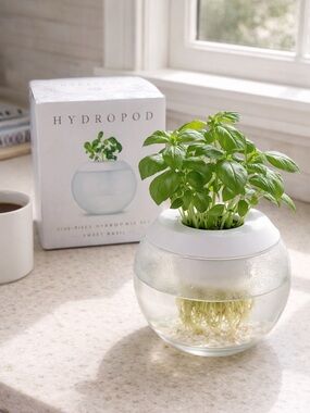 Hydropod White Hydroponic Planter - Fresh Basil Indoor Kit